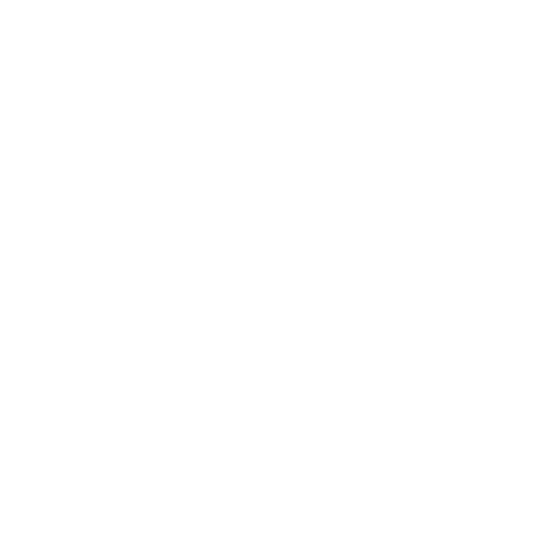 Electrical Security